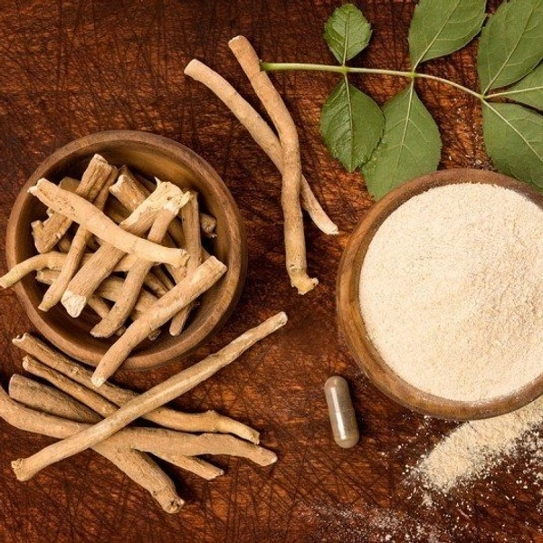 ASHWAGANDHA << அஸ்வகந்தா>>
