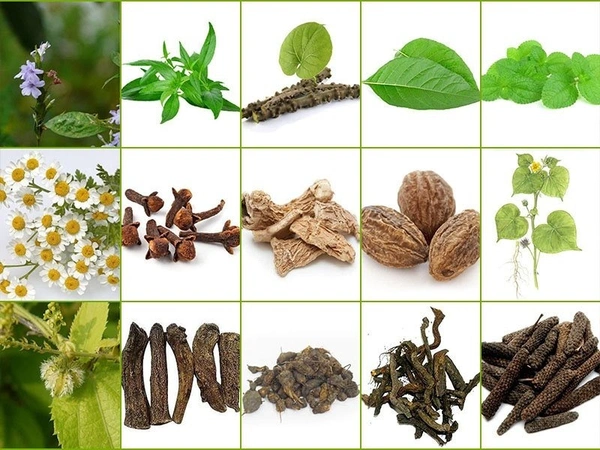 KABASURA KUDINEER << கபசுர குடிநீர் >>