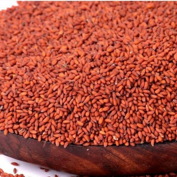 SALIA SEEDS << சாலியா விதை >>