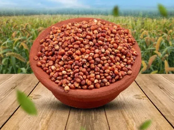 RED SOLAM << சிவப்பு சோளம் >> - 250 GM