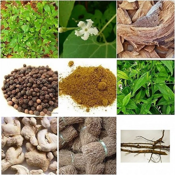 NILAVEMBU KUDINEER << நிலவேம்பு குடிநீர் >>