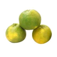 Orange Santra - 1 Kilogram