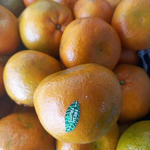 Orange Santra - 1 Kilogram