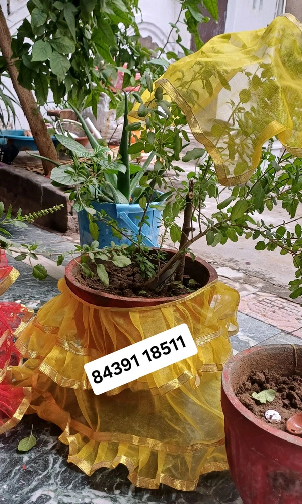 Tulsa Dress - Size, Yellow