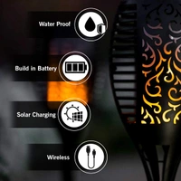 Solar Flame Outdoor Lights