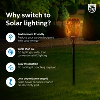 Solar Flame Outdoor Lights