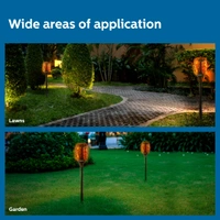 Solar Flame Outdoor Lights