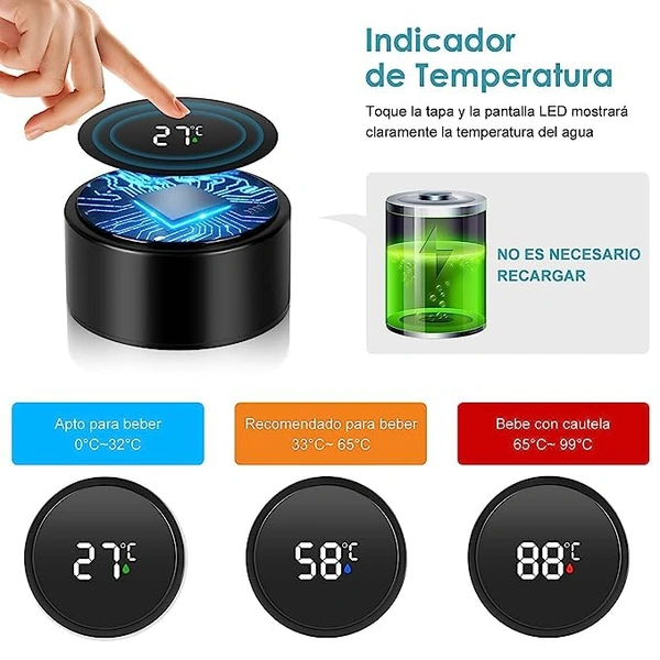 Temperature Bottle with LED Display 500ML