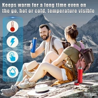 Temperature Bottle with LED Display 500ML