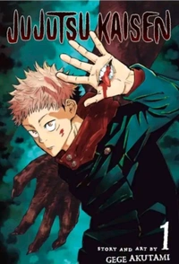 Set Of 2 Jujutsu Kasien Manga