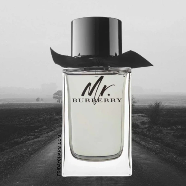 Mr Burberry Eau De Toilette For Men