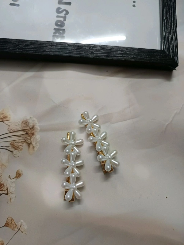 Korean Clips Pair - Pair 5