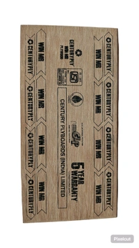 Century Ply Win MR - 8x4, 08mm