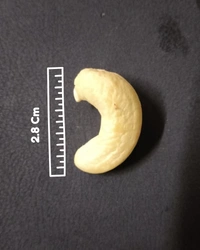 Kokani Cashew - Premium Size - 250 Gram
