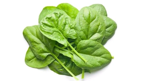 Phoenixfreshco Spinach (পালং শাক) 1 Bunch