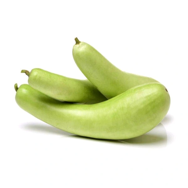 Phoenixfreshco Bottle Gourd(লাউ) 1 Unit
