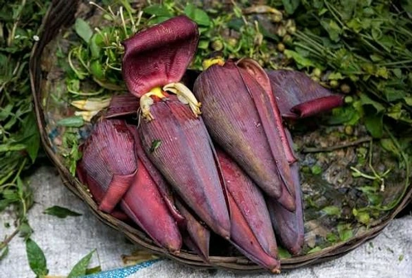 Phoenixfreshco Banana Flower (মোচা) 1unit