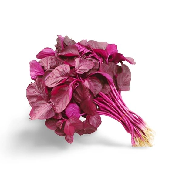 Phoenixfreshco Amaranthus (লাল শাক) 1 Unit