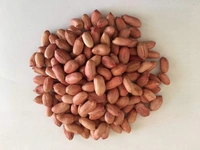 Peanuts (Palli)