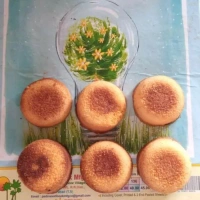 JBS SWEET BUN  100g