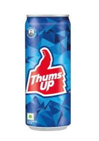 Thums Up Soft Drink (300 ml)
