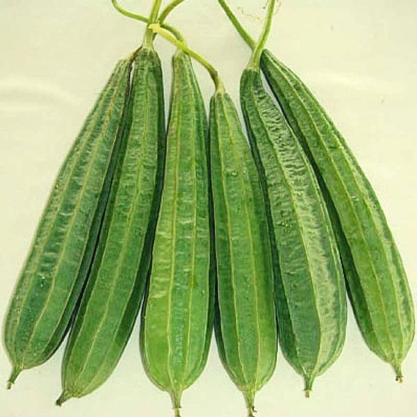 Organic Ridge Gourd (Jhinge) - 250g