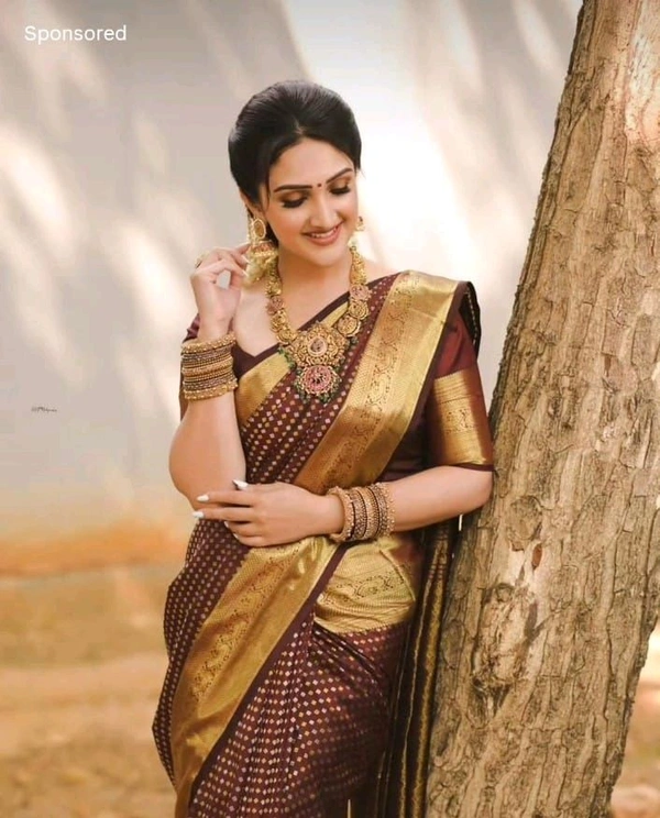 Banrasi Thousand Butta Saree - Brown