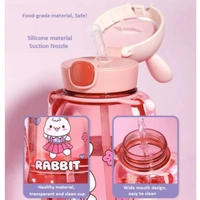 Little Rabbit Kids Straw Water Bottle with One-Touch Lid - BPA-Free - 750ml (1 Piece, Random Color)