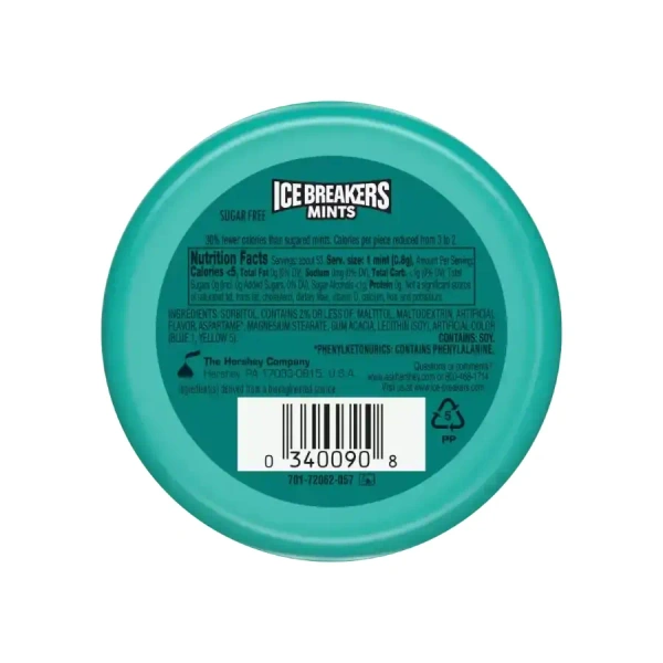 ICE BREAKERS Ice Breakers Mints - WinterGreen - 100g