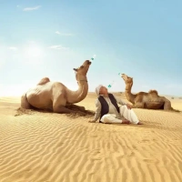 Bisleri Packaged Drinking Water Bottle - 2 L