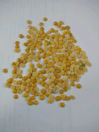 Arhar Choti II - 30Kg