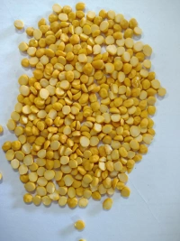 Chana Dal Desi Moti - 30Kg