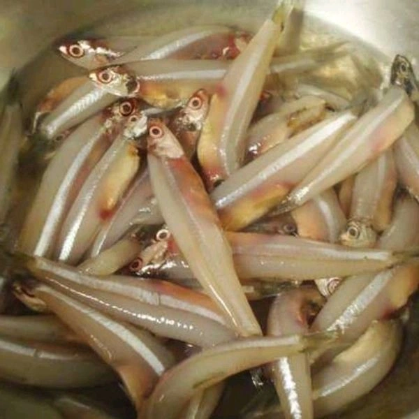 Anchovy(Nethili) - 250gm