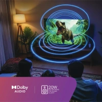 DishTV 80 cm (32 inch) Full HD LED Smart Google TV with Entertainment Hub By dishtv