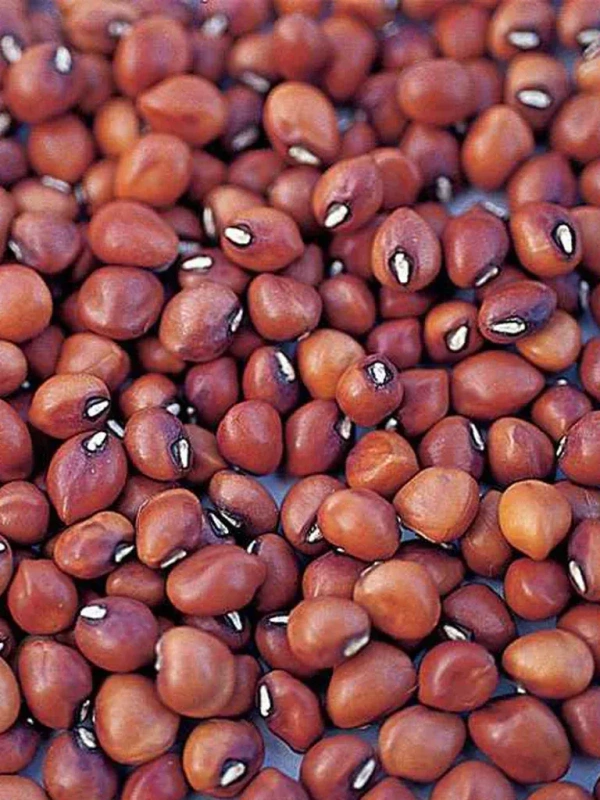 Red Karamani (Cowpea) /  சிவப்பு காராமணி  (500 Gram)