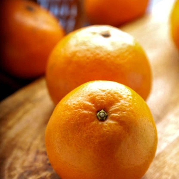 KINU (किनु) /KG