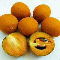 Sfg चीकू (Cheekoo).5KG