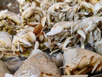 Dryfruits Cone - 250gm