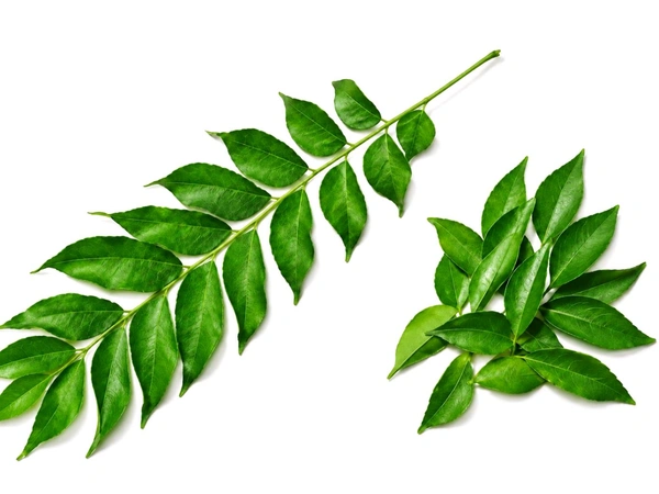 Kadi Patta