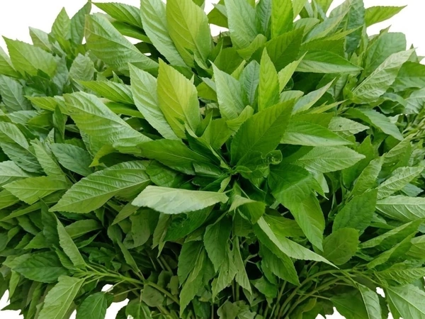 Chech Bhaji