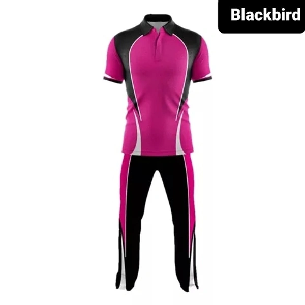 Blackbird Cricket Jersey Set - Violet Eggplant, Regular, S