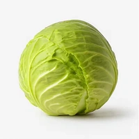 Organic Green Cabbage – Farm Fresh