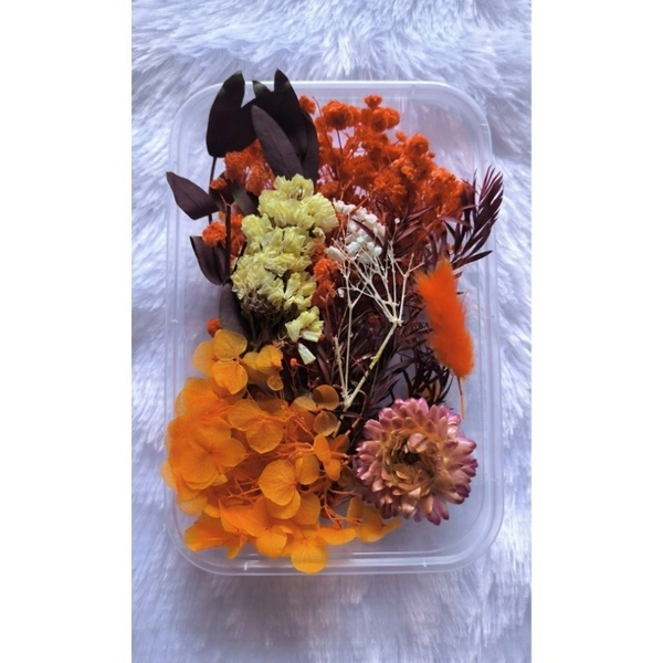 3D Dried Flowers