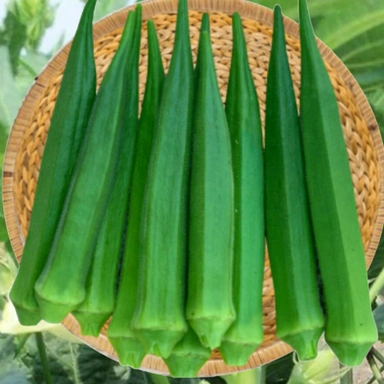 Okra