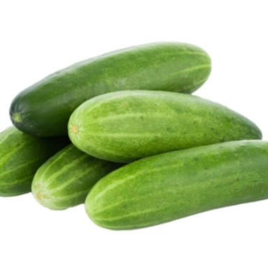 Cucumber