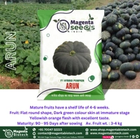 ARUN-Hybrid Pumpkin Gourd Seeds