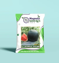 BLACK BOMB- Hybrid Watermelon Seeds