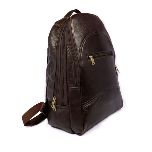 STEPSCART LEATHERS Executive Genuine Leather Laptop Backpack