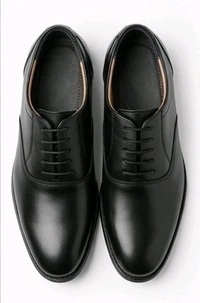 STEPSCART Classic Black Oxford Lace Up Shoes - 9, Black