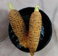 Food magnets polyresin material Very good quality